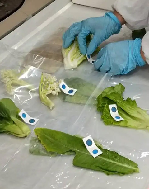 武漢工廠食堂承包
